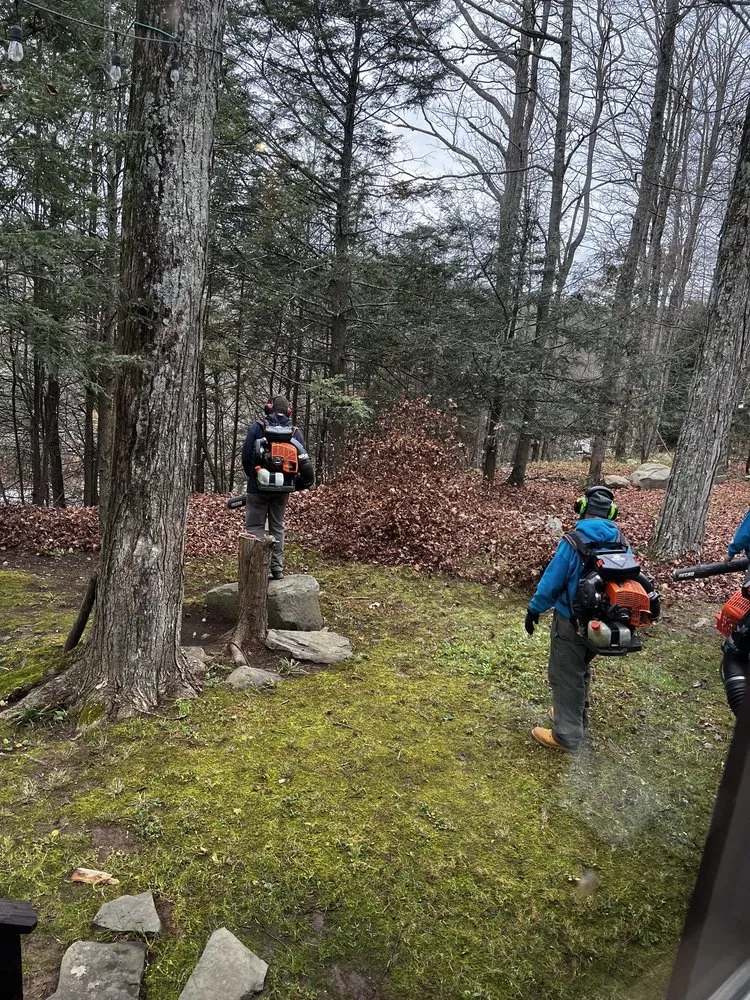 Expert lawn care service experts serving Lake Ariel, PA - LiveAgain Landscaping