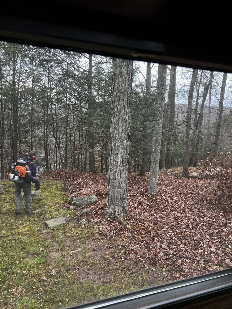 Trusted landscape installation for homes in Lake Ariel, PA by LiveAgain Landscaping