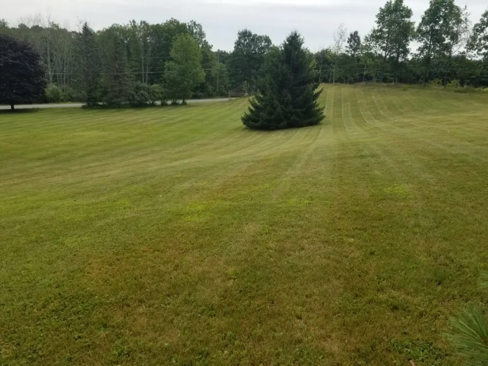 Reliable outdoor landscaping for residential properties across Lake Ariel, PA - LiveAgain Landscaping