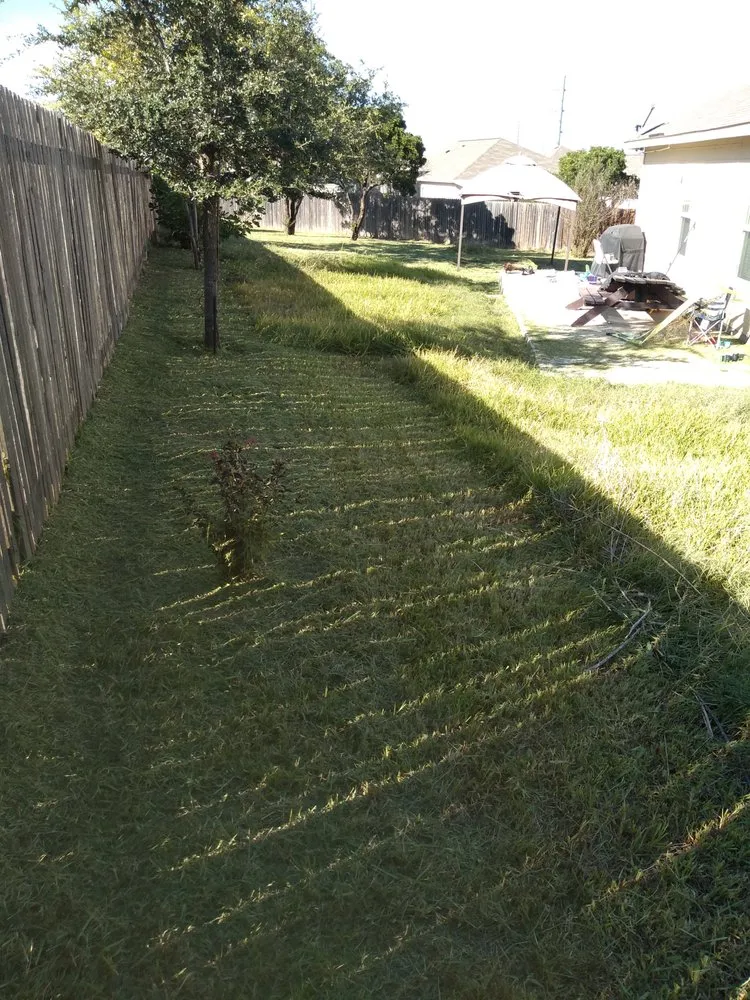Professional garden landscaping for year-round maintenance in San Antonio, TX by LiveBy Lawncare
