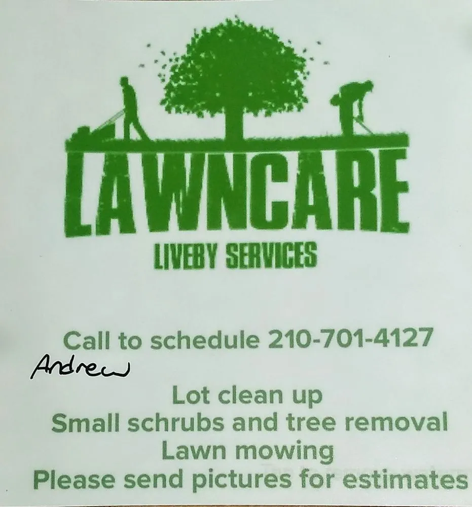 Expert landscape design in San Antonio, TX - LiveBy Lawncare