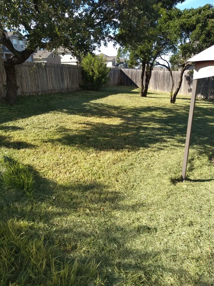 Local lawn mowing service in San Antonio, TX - LiveBy Lawncare
