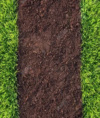 LiveBy Lawncare Logo