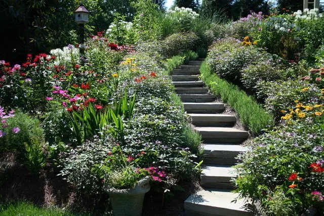 Local landscape design in Fairview, TN - Lively Landscape