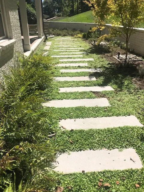 Top-rated lawn care service experts serving Fairview, TN - Lively Landscape