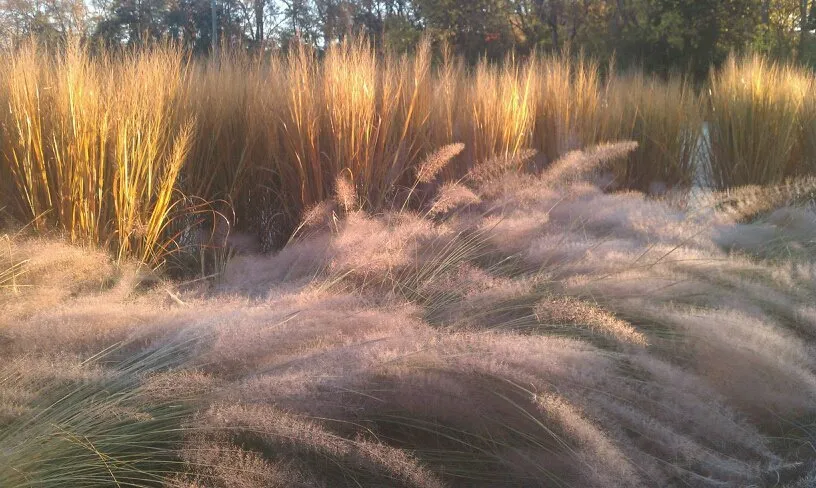 Professional landscaping services experts serving Fairview, TN - Lively Landscape