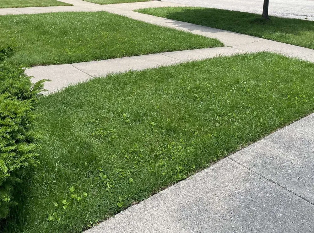 Professional garden landscaping experts serving Chicago, IL - Lively Landscaping