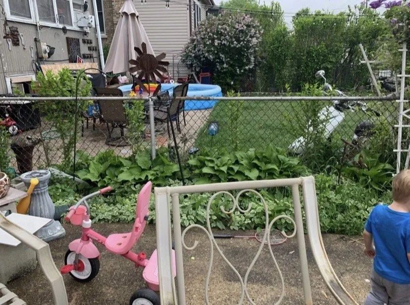 Custom yard cleanup service in Chicago, IL - Lively Landscaping