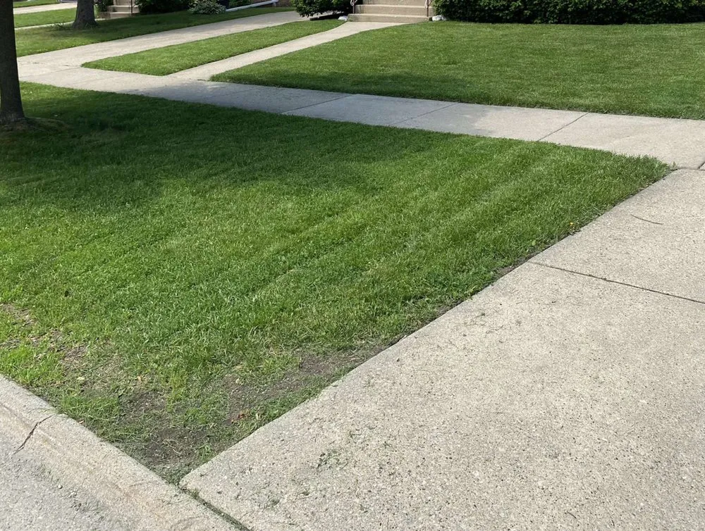 Trusted yard cleanup service in Chicago, IL - Lively Landscaping
