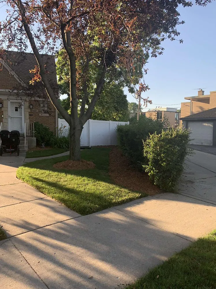 Top-rated lawn mowing service in Chicago, IL - Lively Landscaping