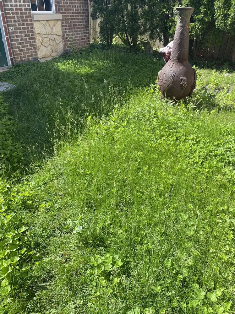 Reliable lawn mowing service in Chicago, IL - Lively Landscaping