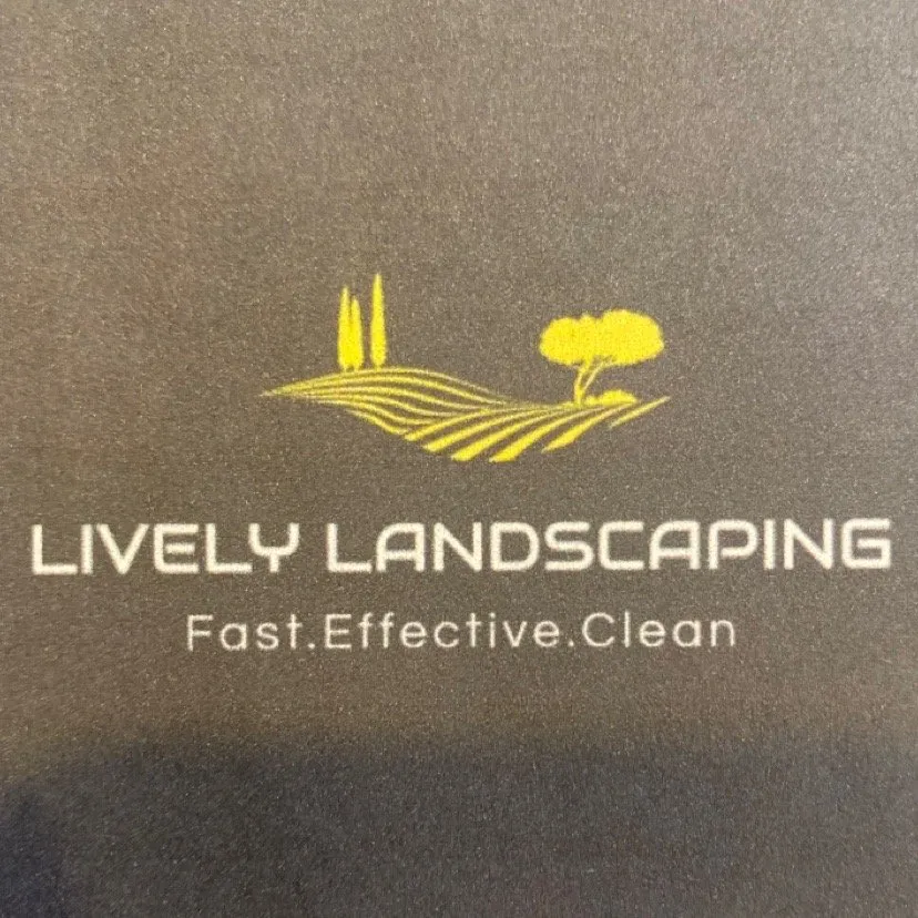 Professional yard maintenance near you in Chicago, IL by Lively Landscaping