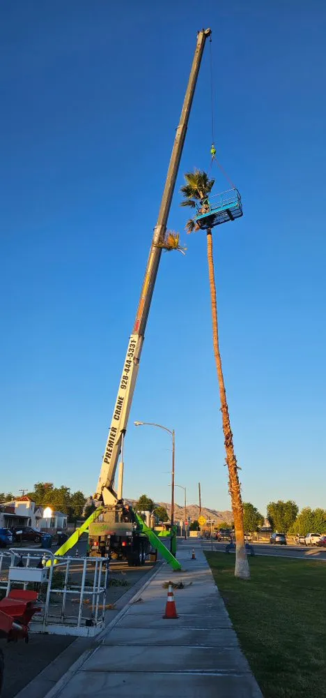 Trusted landscape design in Mohave Valley, AZ by Lively Landscaping