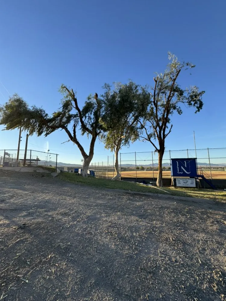 Local garden landscaping in Mohave Valley, AZ by Lively Landscaping