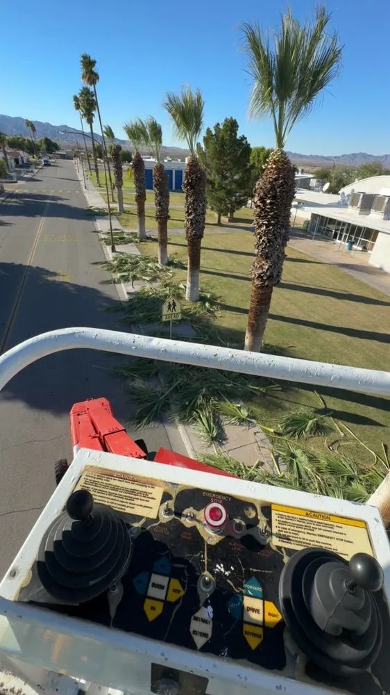 Affordable yard cleanup service in Mohave Valley, AZ by Lively Landscaping