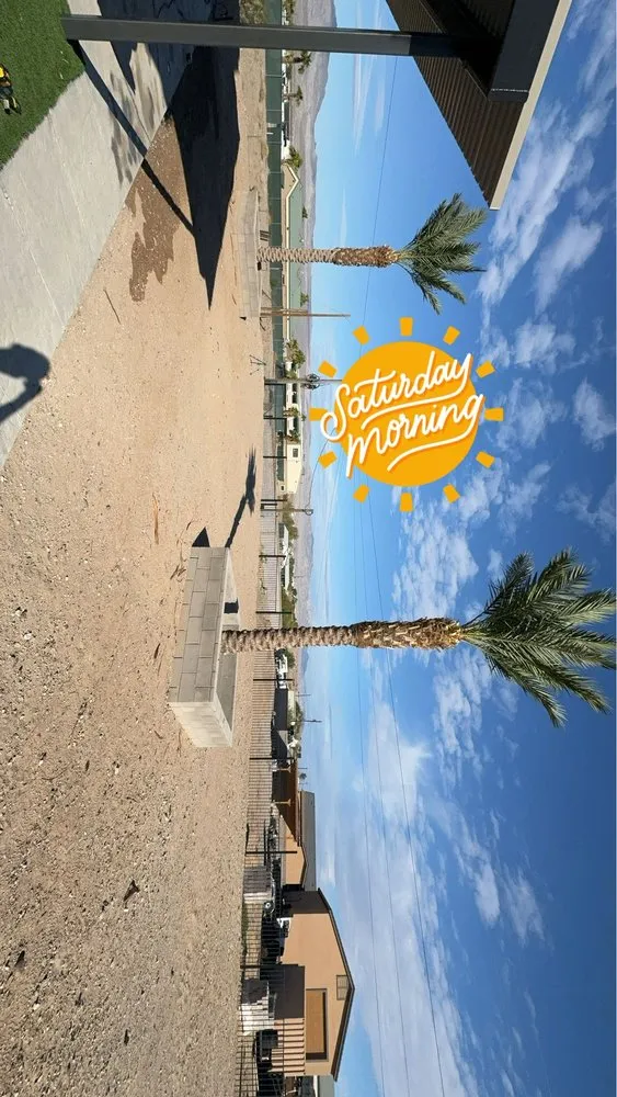 Reliable landscape installation in Mohave Valley, AZ by Lively Landscaping