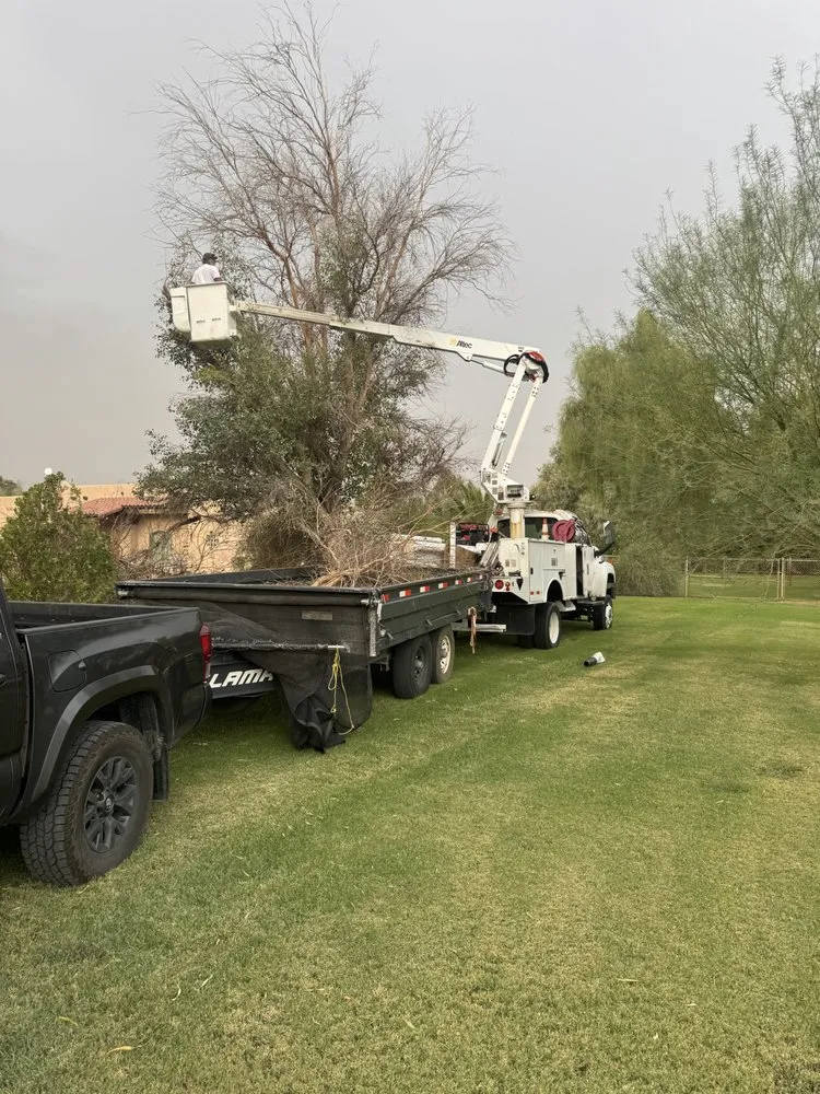 Trusted outdoor landscaping in Mohave Valley, AZ by Lively Landscaping