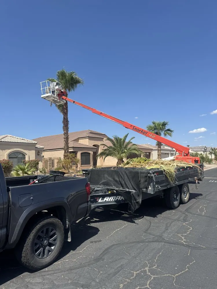 Reliable yard maintenance for homes in Mohave Valley, AZ by Lively Landscaping