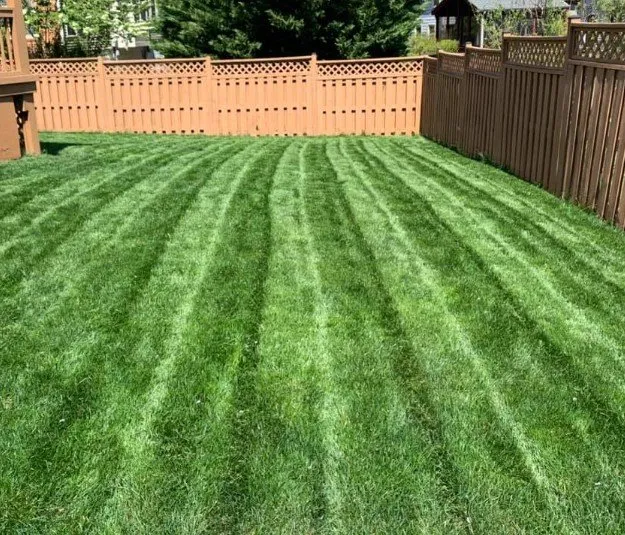 Local outdoor landscaping for beautiful yards across Plainfield, IN - Lively Lawn Care And Odd Jobs