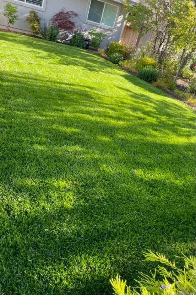 Expert yard cleanup service experts serving Plainfield, IN - Lively Lawn Care And Odd Jobs