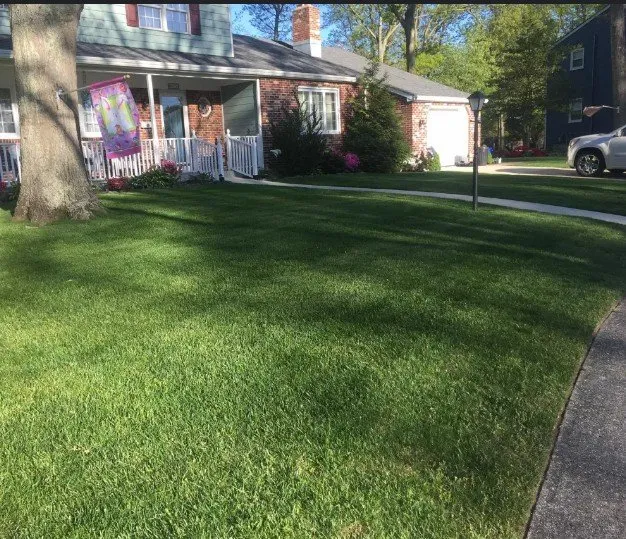 Trusted landscape installation in Plainfield, IN - Lively Lawn Care And Odd Jobs