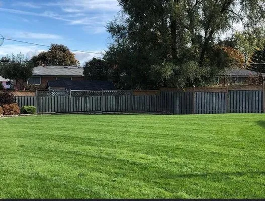 Lively Lawn Care And Odd Jobs Logo