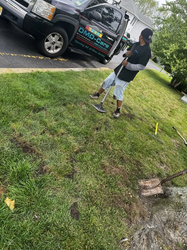 Affordable landscaping services for homes in Seaside Heights, NJ by Lively Lawn Care