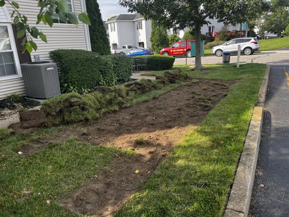 Professional yard maintenance for year-round maintenance in Seaside Heights, NJ by Lively Lawn Care