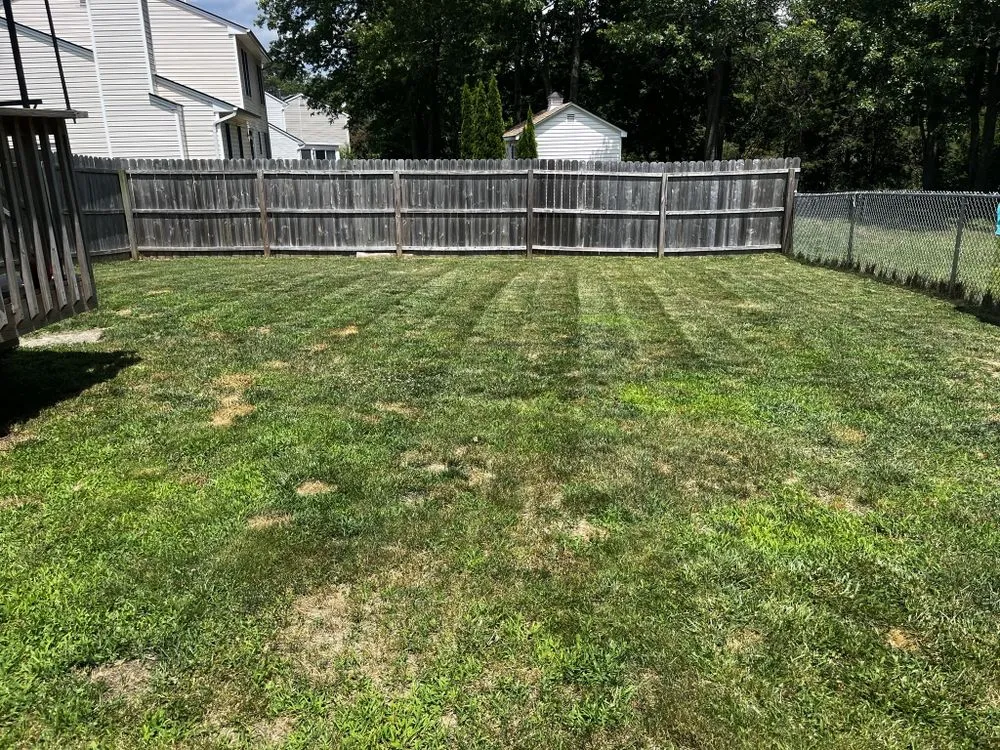 Affordable lawn care service for homes in Seaside Heights, NJ by Lively Lawn Care