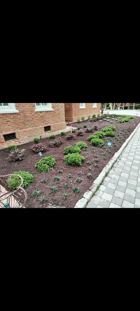 Reliable yard cleanup service for homes in Rockville, VA by Livesay's Landscaping