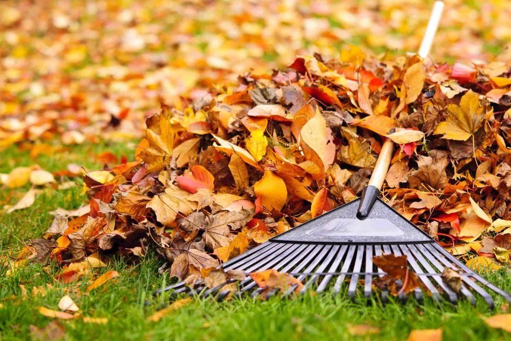 Professional lawn care service in Hurricane, WV by Living Art Landscapes