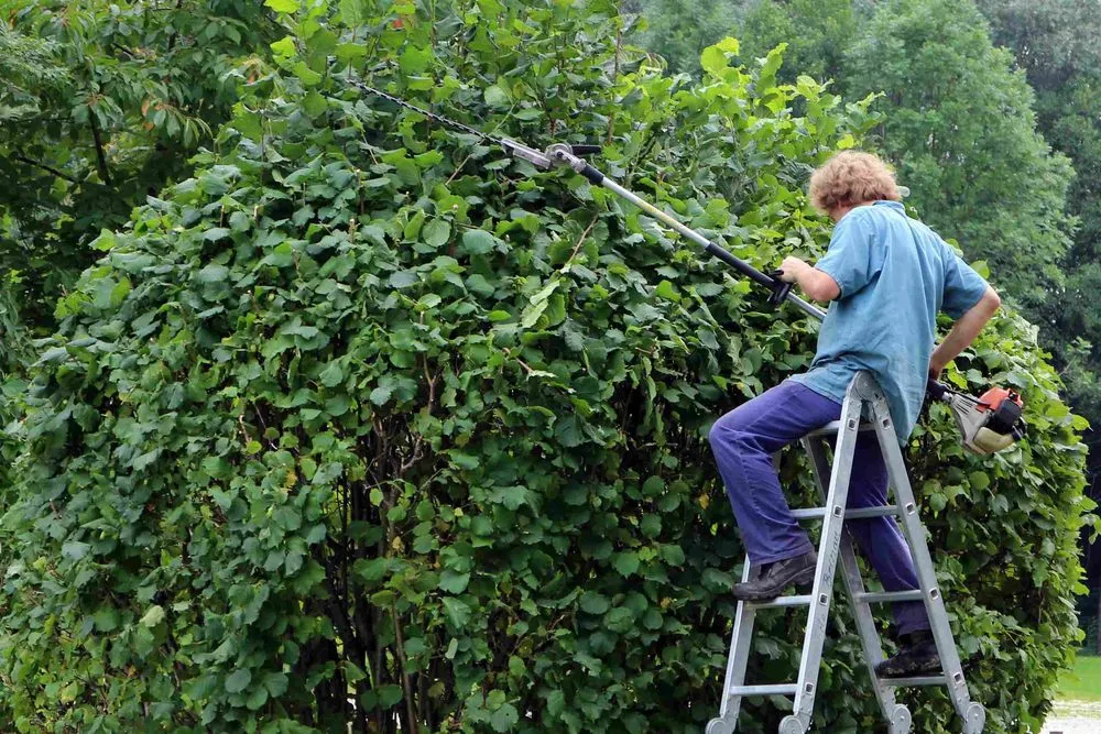 Expert yard maintenance experts serving Hurricane, WV - Living Art Landscapes