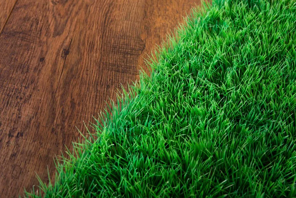 Affordable lawn care service near you across Hurricane, WV - Living Art Landscapes