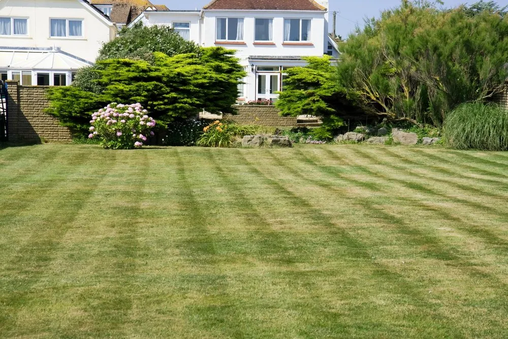 Top-rated yard cleanup service in Hurricane, WV by Living Art Landscapes