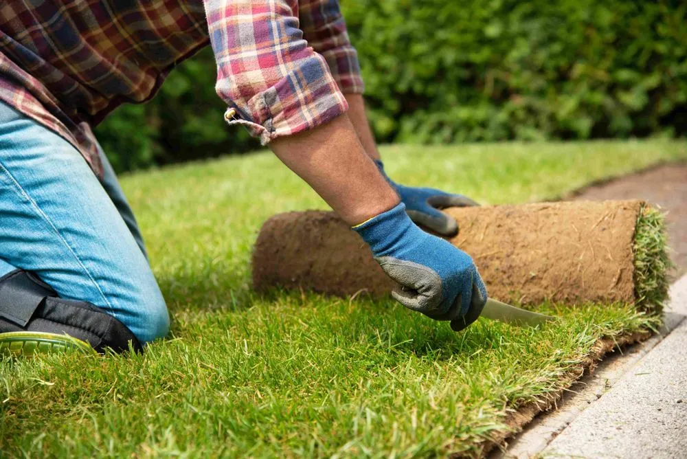 Custom yard cleanup service in Hurricane, WV by Living Art Landscapes