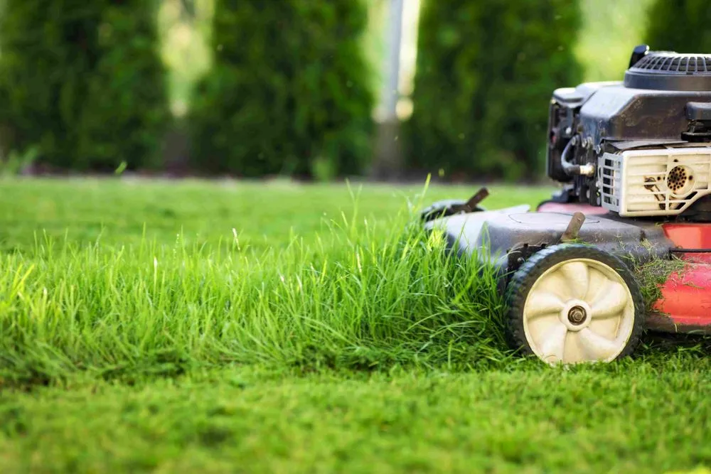Custom lawn care service experts serving Hurricane, WV - Living Art Landscapes