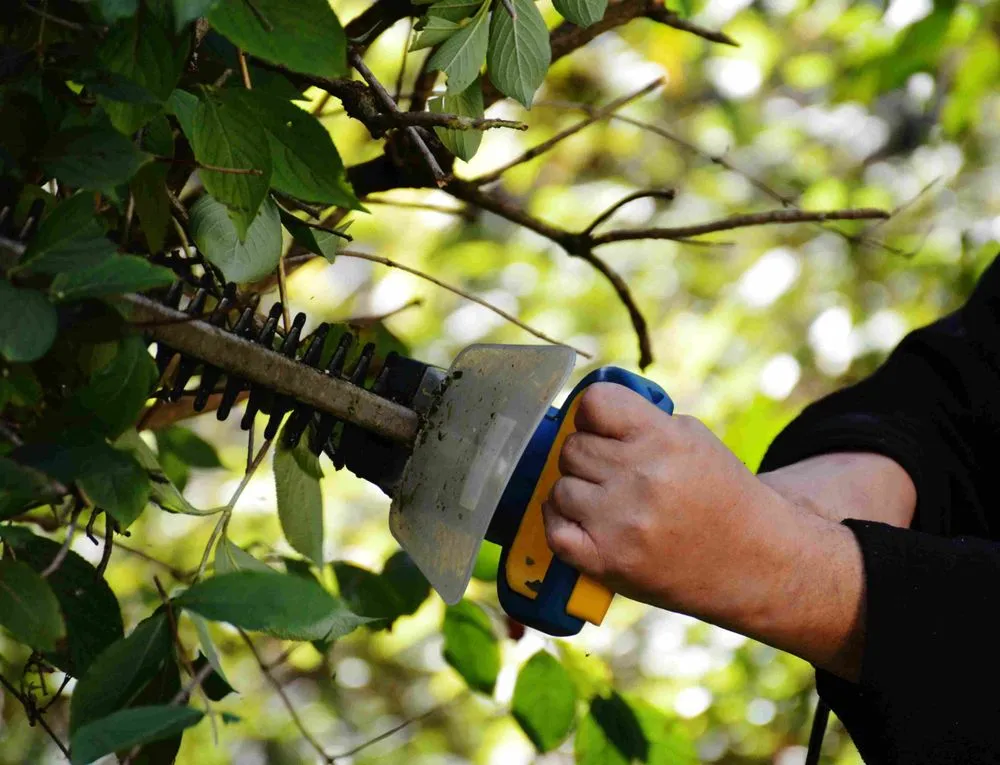 Top-rated lawn care service for residential properties in Hurricane, WV by Living Art Landscapes