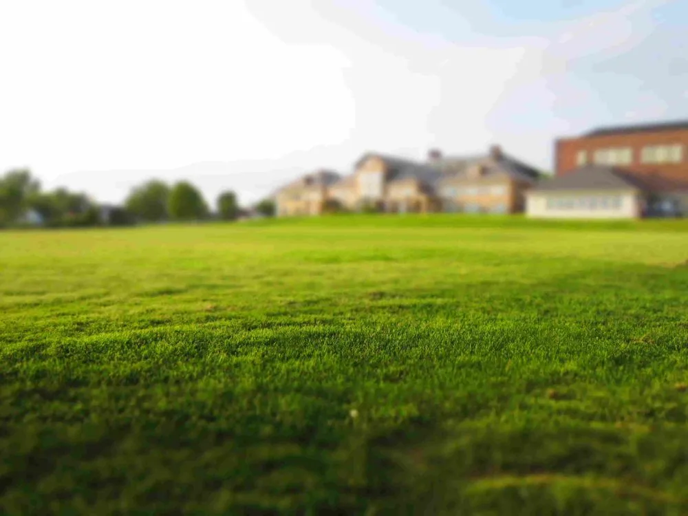 Local yard maintenance experts serving Hurricane, WV - Living Art Landscapes