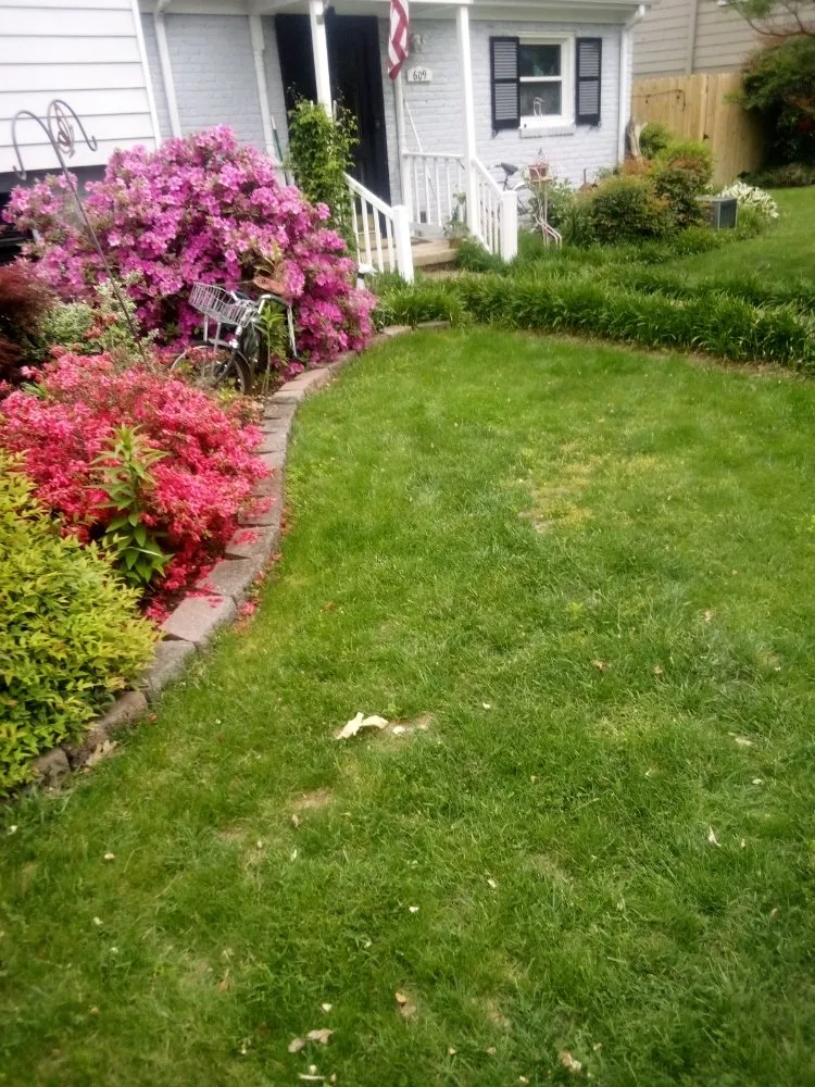 Professional landscape installation for year-round maintenance across Tuckahoe, VA - Living Carpets Lawn Care