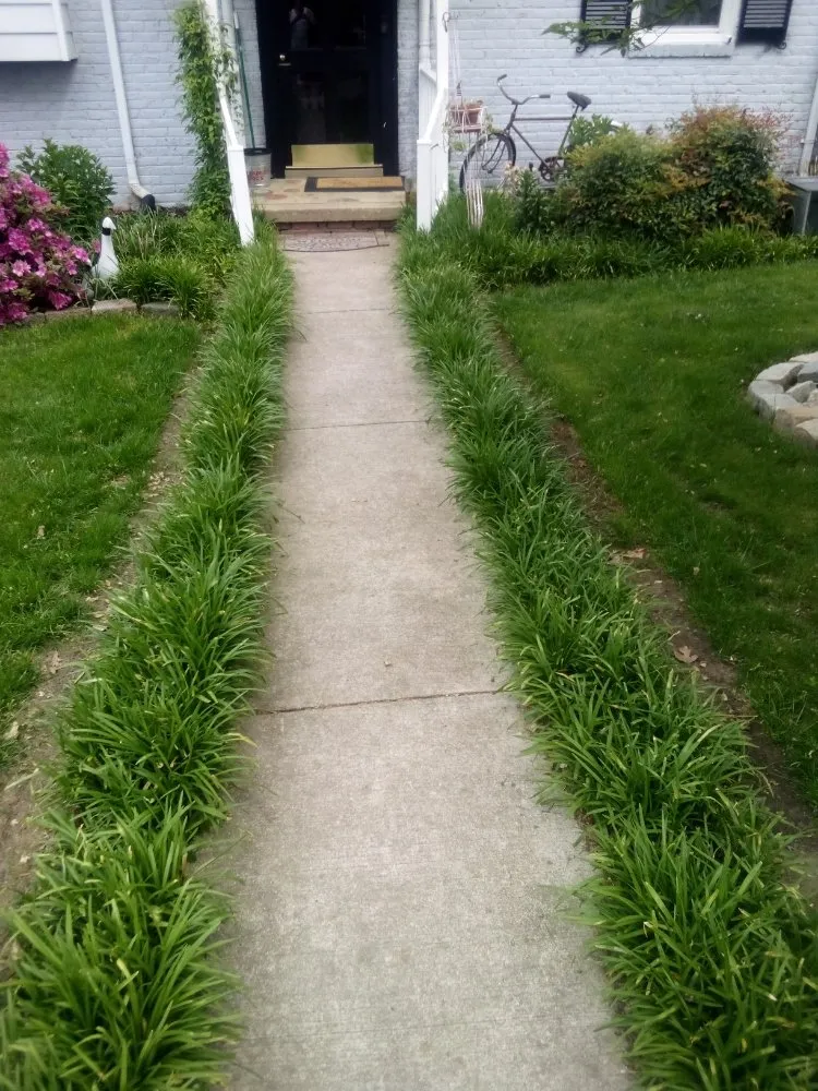 Custom lawn mowing service experts serving Tuckahoe, VA - Living Carpets Lawn Care