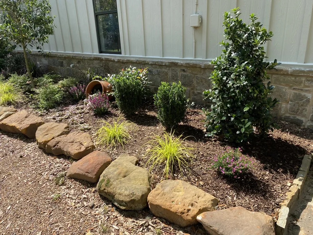 Trusted garden landscaping experts serving Edinburg, TX - Living Color