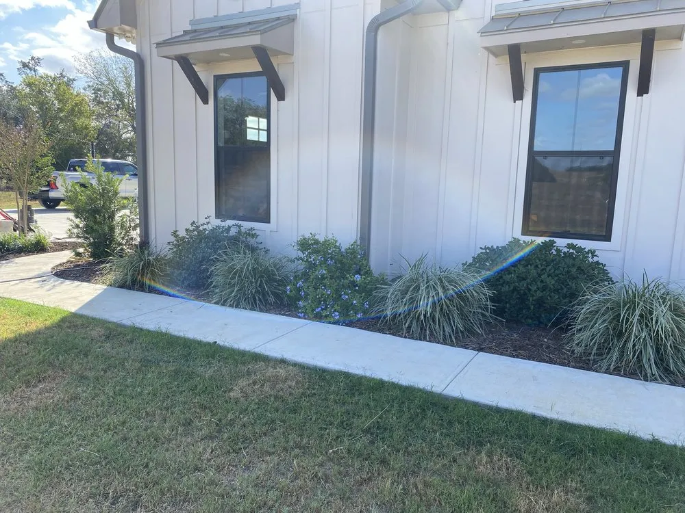 Custom yard maintenance with custom design across Edinburg, TX - Living Color