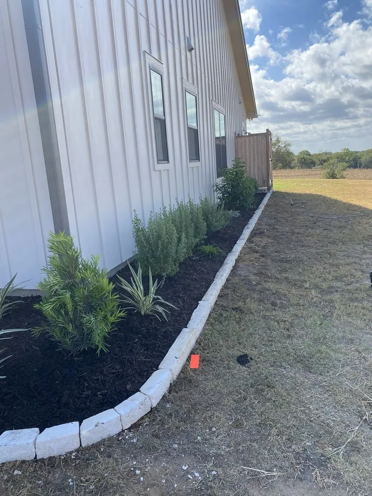 Local yard maintenance experts serving Edinburg, TX - Living Color