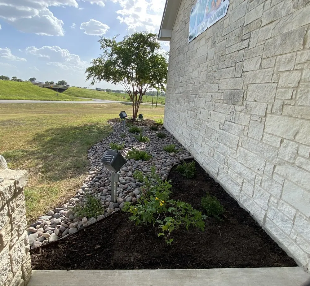 Trusted residential landscaping for beautiful yards in Edinburg, TX by Living Color