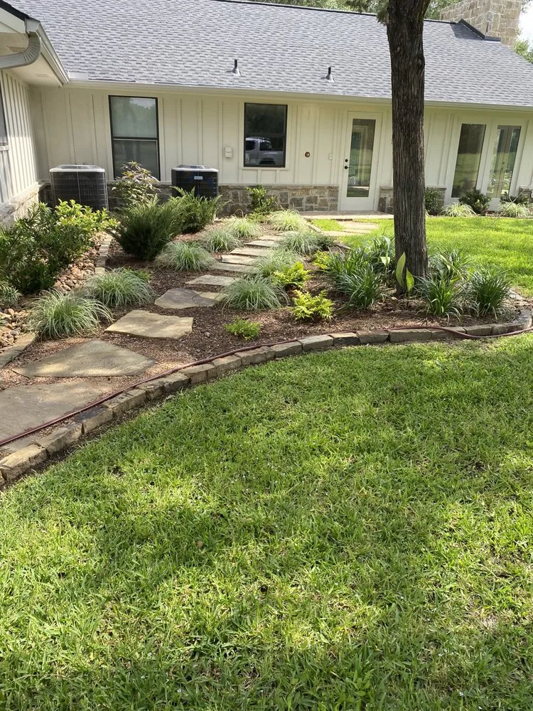 Professional yard cleanup service in Edinburg, TX - Living Color