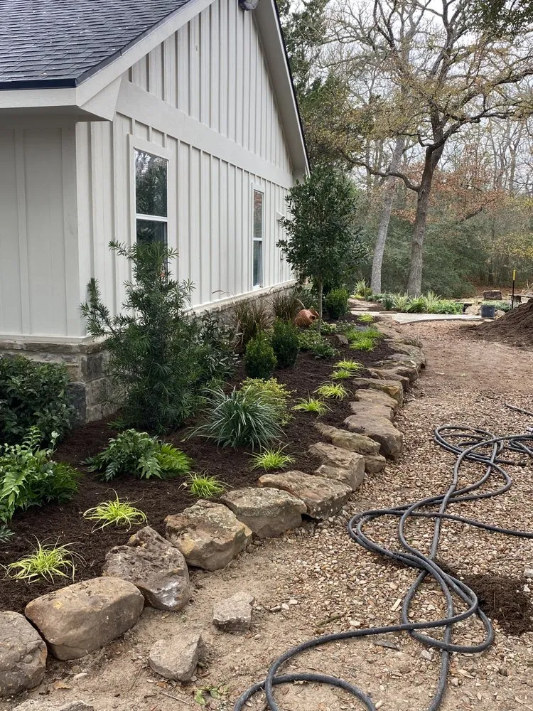 Affordable yard cleanup service in Edinburg, TX - Living Color