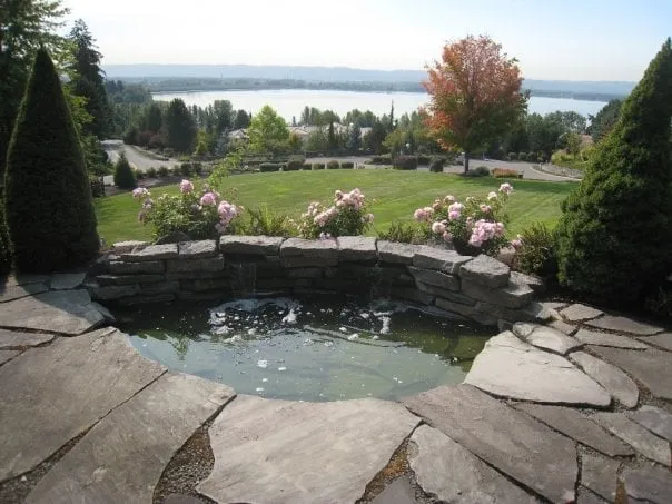 Trusted yard cleanup service with custom design across Aurora, OR - Living Color Landscape
