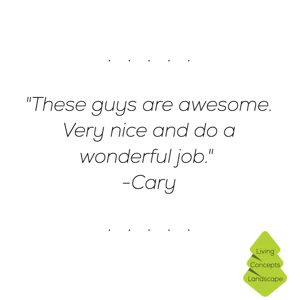 Reliable yard cleanup service experts serving Eugene, OR - Living Concepts Landscape Services