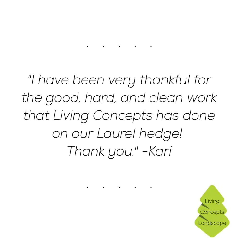 Top-rated lawn care service in Eugene, OR by Living Concepts Landscape Services