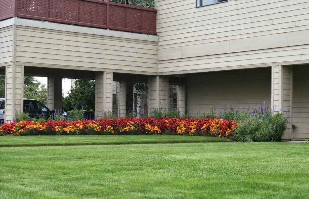 Expert outdoor landscaping for year-round maintenance in Eugene, OR by Living Concepts Landscape Services